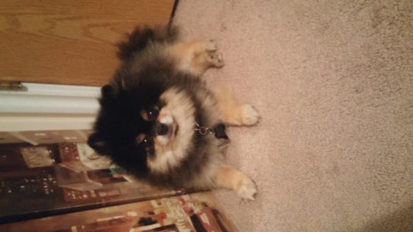 /Images/uploads/Humane Society of Utah/HSUCalendar/entries/818thumb.jpg